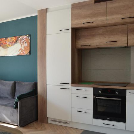 Apartment Sosnowiec City - Free Parking - Easy Check-In Exterior foto